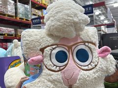 -山姆会员商店(上海浦东店)