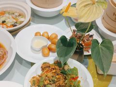 -眉州东坡(民族园店)
