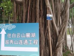 -广州雕塑公园