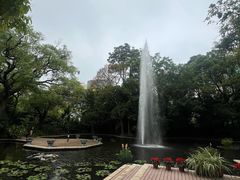 -九龙公园