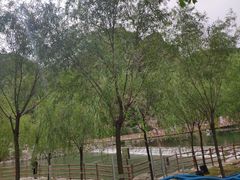 -北京乐谷