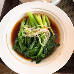 -第1夫人母婴护理院