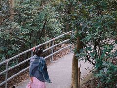 -南丫岛