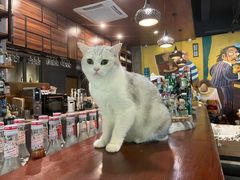 -咖法森林·咖啡  酒吧(天河店)