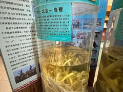 -北京鹿世界主题园