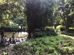 -成都市活水公园