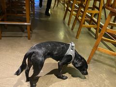 -Cactus墨西哥仙人掌餐厅