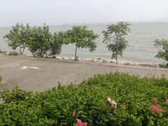 -深圳湾公园(南山区)