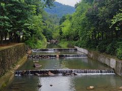 -广州白江湖森林公园