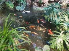 -聚缘堂·海鲜私房菜(松岭路店)