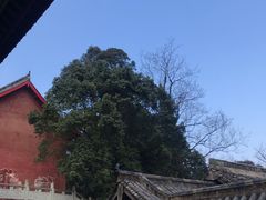 -金堂县云顶石城风景区
