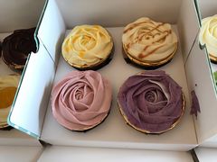 -小西家作(富力爱丁堡店)