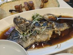 -骏莱海鲜鱼港(五角场店)