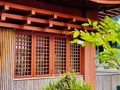 -深圳仙湖植物园