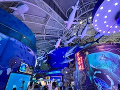 -烟台海昌鲸鲨海洋公园