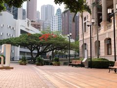 -香港大学