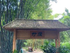 -大屏嶂森林公园