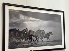 -Polo Ralph Lauren(青浦百联奥特莱斯广场店)