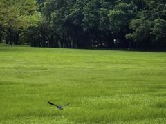 -荔香公园