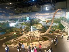 -自贡恐龙博物馆