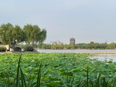 -济南大明湖景区