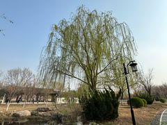 -水西公园