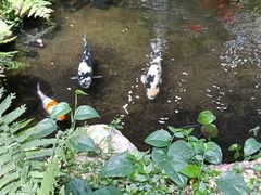 -凯德广场(学府店)