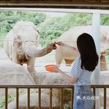 江浙沪周边游🐯宁波雅戈尔动物园互动全攻略