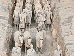 -秦始皇帝陵博物院(兵马俑)