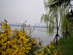 -名轩·中餐厅(南京玄武湖假日酒店)