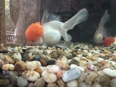 -杭州野生动物世界