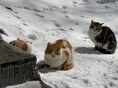 -华山风景名胜区