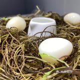 ‼️太琼糟粕醋‼️地道海南特色美食