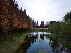 -上海海湾国家森林公园