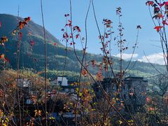 -塔川景区