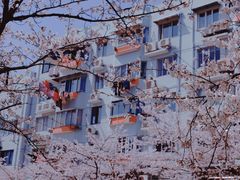 -永乐路-路侧停车场