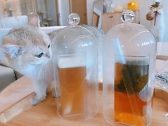 -猫腻·猫咖·撸猫馆(星光大道店)