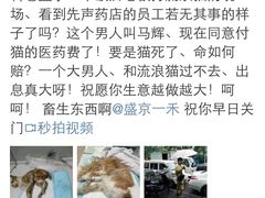 盛京一禾-盛京一禾