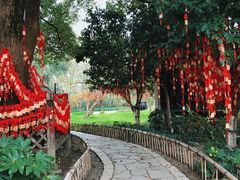 -乌镇西栅景区-月老庙