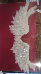 -扎嘎形象设计