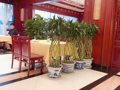 -陈麻婆豆腐(春熙店)