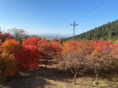 -北京十三陵国家森林公园蟒山景区