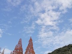 -黄贤森林公园