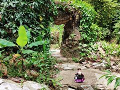 景点-槟城植物园