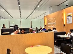 -麦当劳(北京大兴机场二层国内到达(安检外)店)