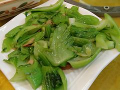-鸿达渔港