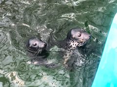 -石家庄市动物园