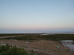 -南汇嘴观海公园