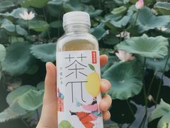 -小洲村