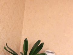 -旺顺阁海鲜广场(亚运村店)